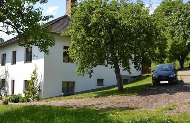 Auf der Kuhweide