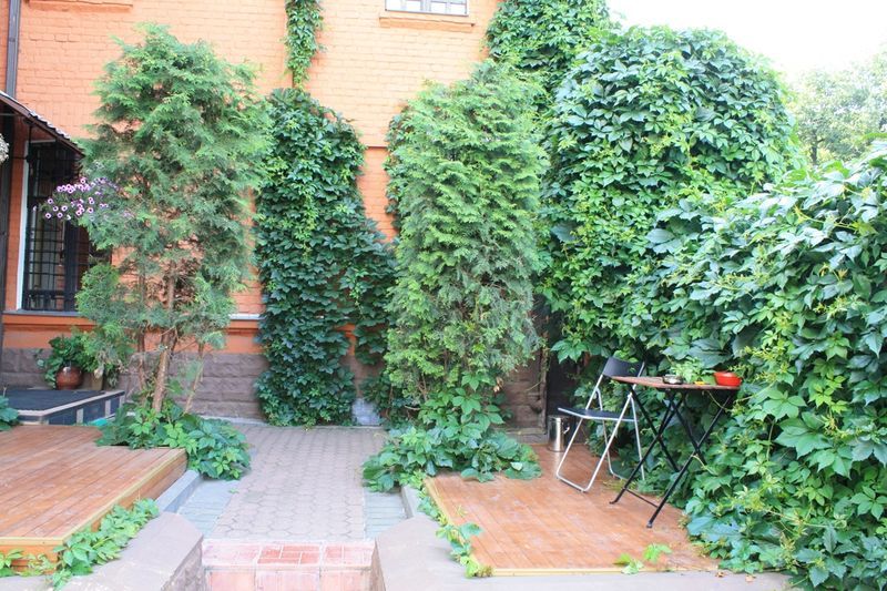 Outdoor Pictures 21