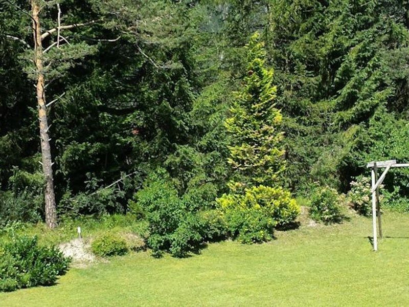 Outdoor Pictures 21