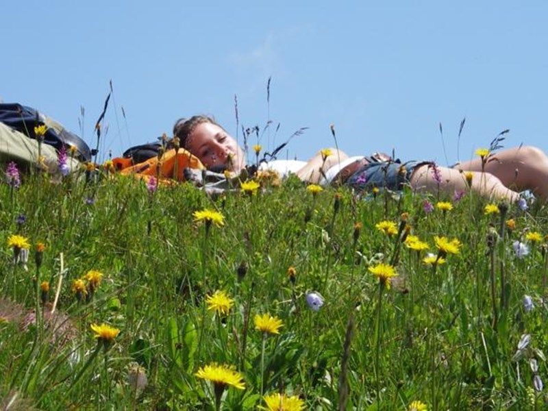 Outdoor Pictures 8