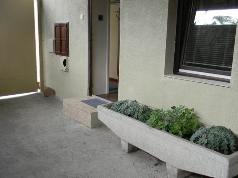 Outdoor Pictures 8
