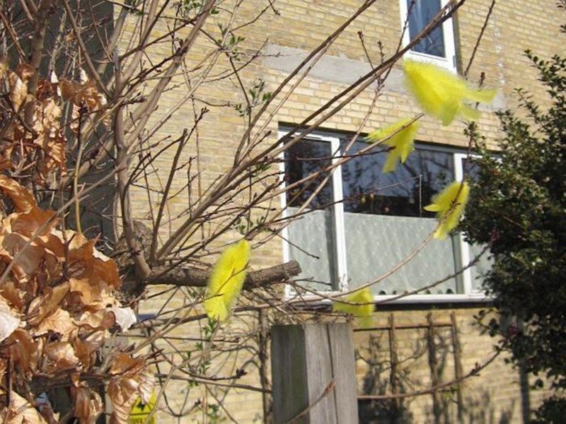 Outdoor Pictures 1