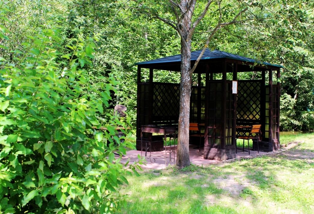Outdoor Pictures 24