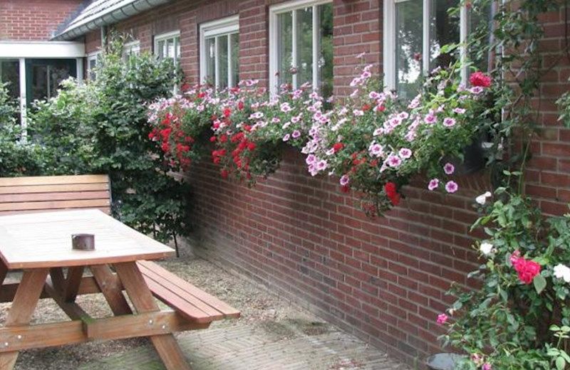 B&B Boerenbed t Morshuis