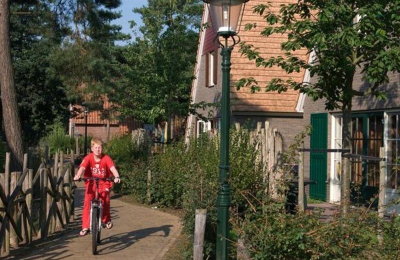 DE KATJESKELDER