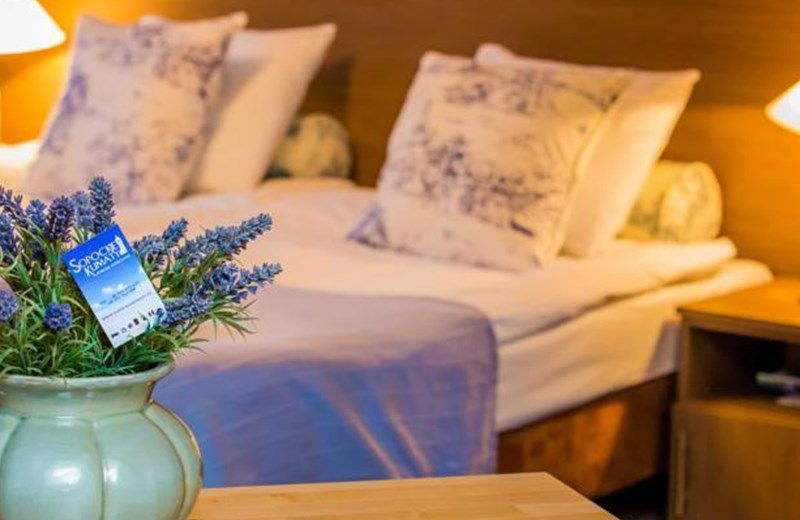 Sopockie Klimaty - Guest Rooms