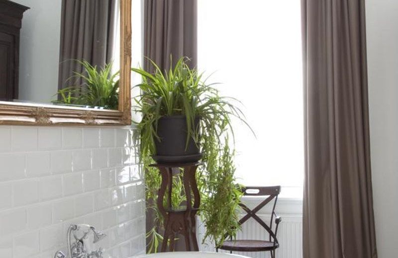 B&B DE WITTE NIJL