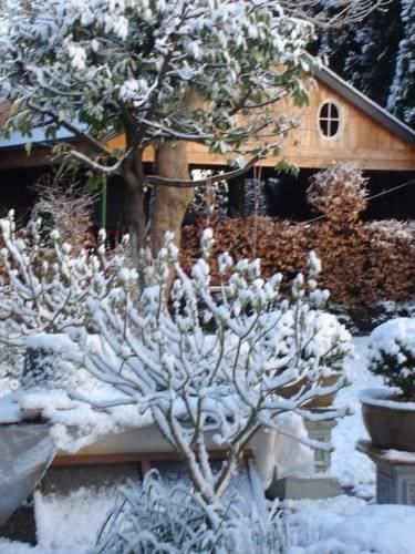 Outdoor Pictures 21