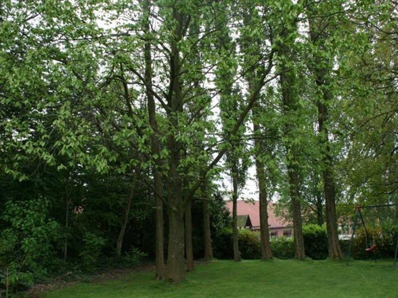 Outdoor Pictures 12