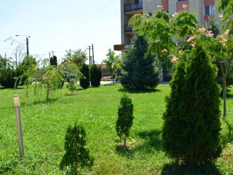 Outdoor Pictures 8