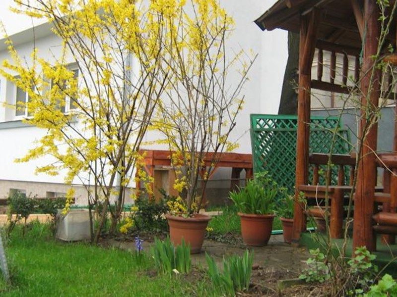 Outdoor Pictures 1