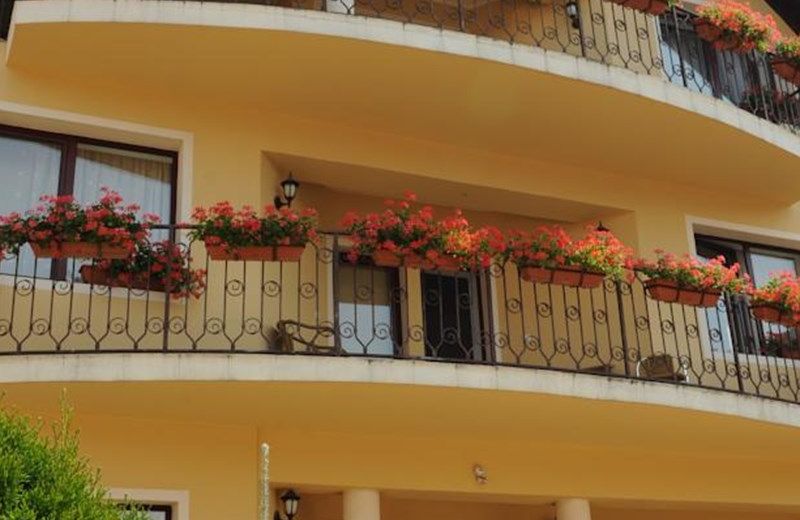 Camere de inchiriat Casa cu flori