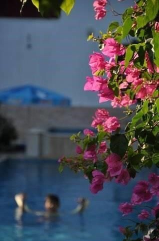 Outdoor Pictures 21