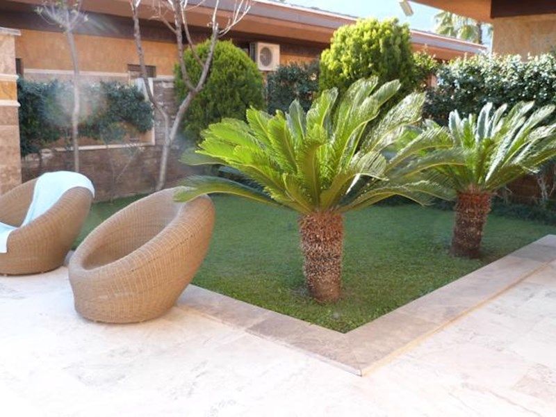 Outdoor Pictures 1