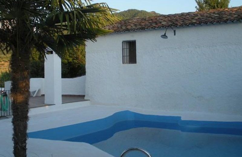 MOLINO ANICA