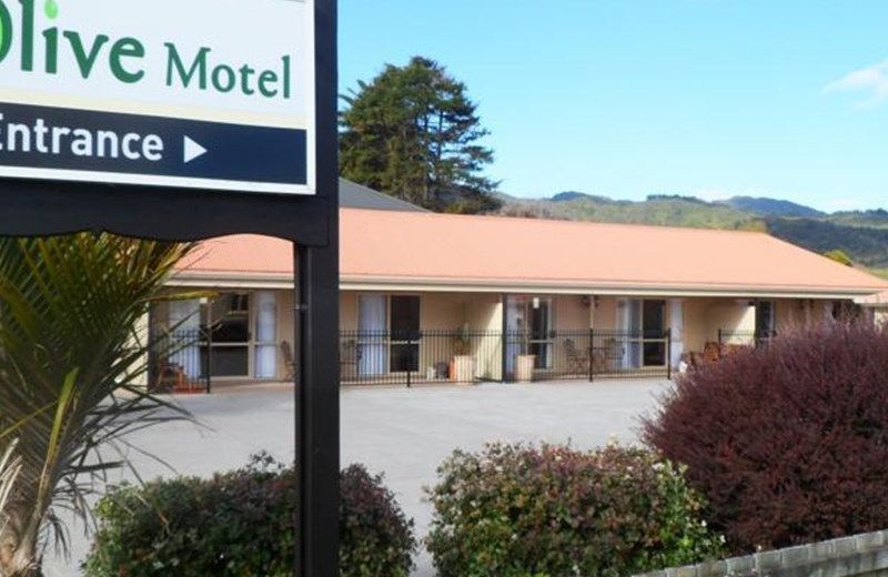 The Olive Motel