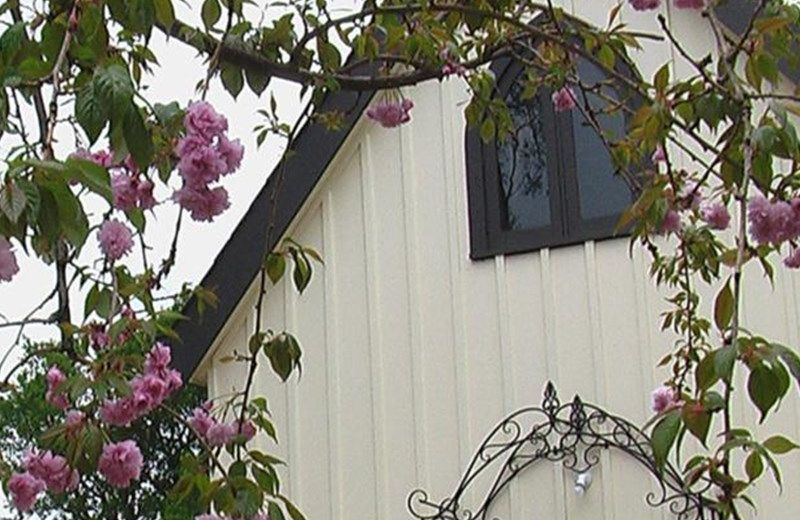 Silverleaf Cottage