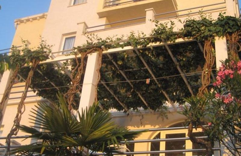 Villa Obad Guest House