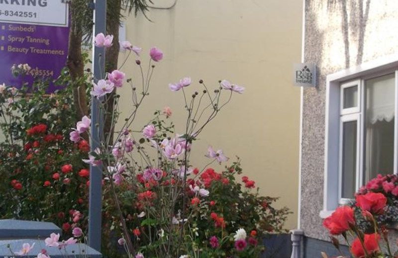 LEAHYS LEE HOUSE YOUGHAL