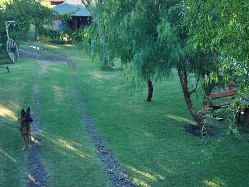 Outdoor Pictures 17