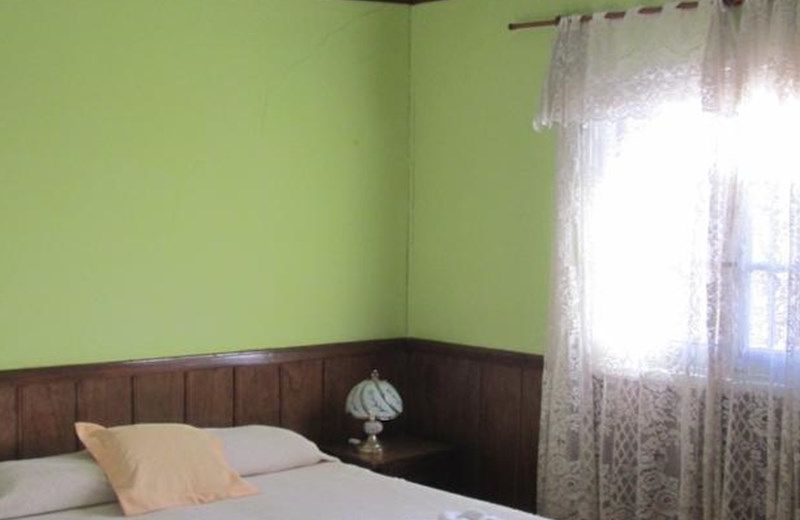 Nuevo Hotel Avenida