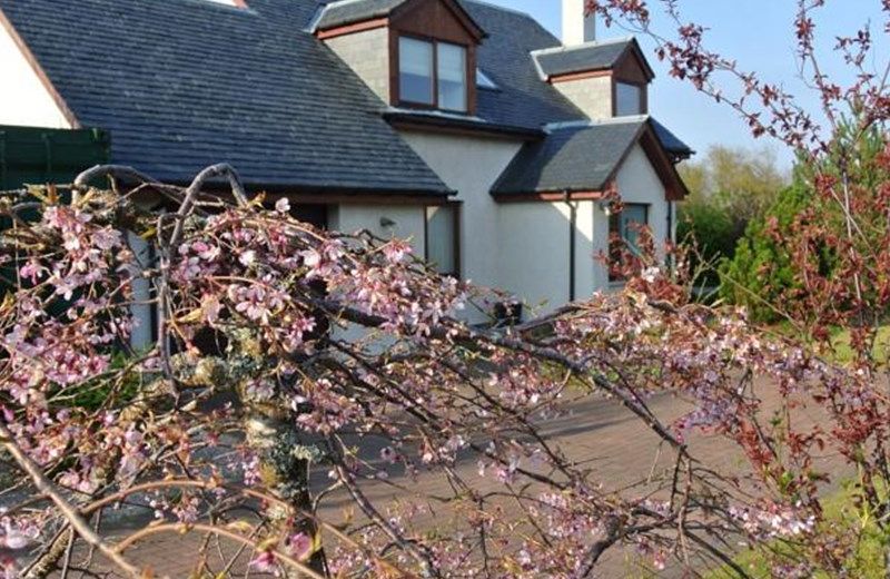 SEALLADH BREAGH SELF CATERING AVIEMORE