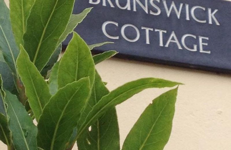 BRUNSWICK COTTAGE