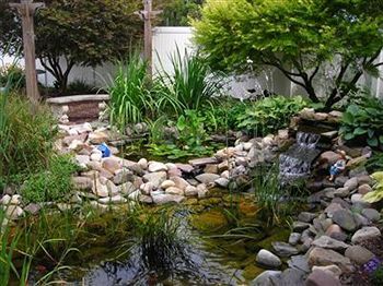 Outdoor Pictures 18