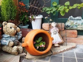Outdoor Pictures 23
