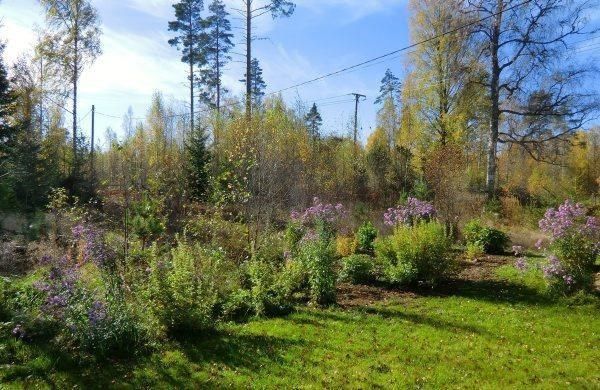 Outdoor Pictures 1