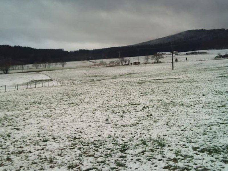 Outdoor Pictures 1