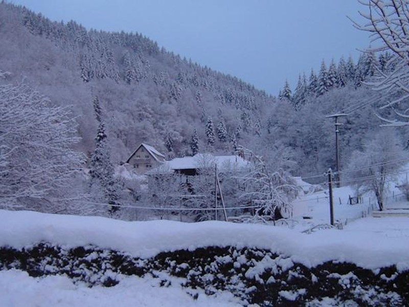 Pretty Apartment in Oppenau near Black Forest National Park