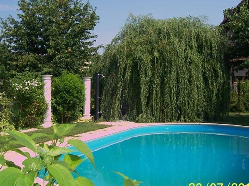 Outdoor Pictures 12