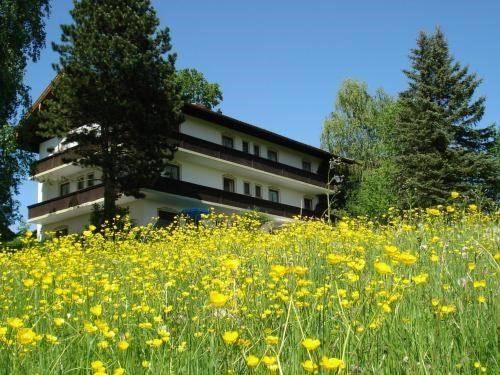 Outdoor Pictures 10