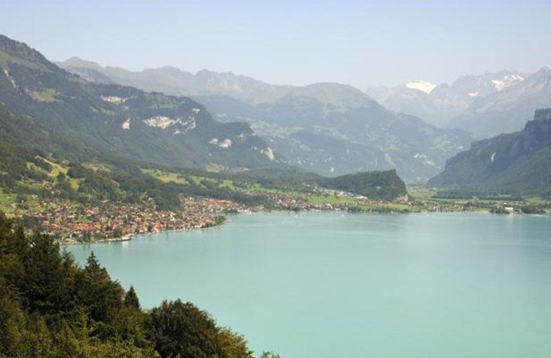AAREBLICK