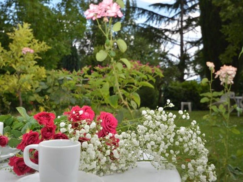 Outdoor Pictures 2
