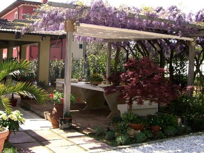 Outdoor Pictures 1