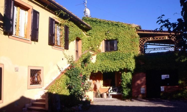 Selvatellino