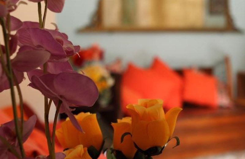 B&B Favignana