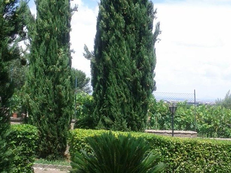 Outdoor Pictures 1