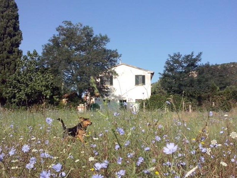 Outdoor Pictures 1