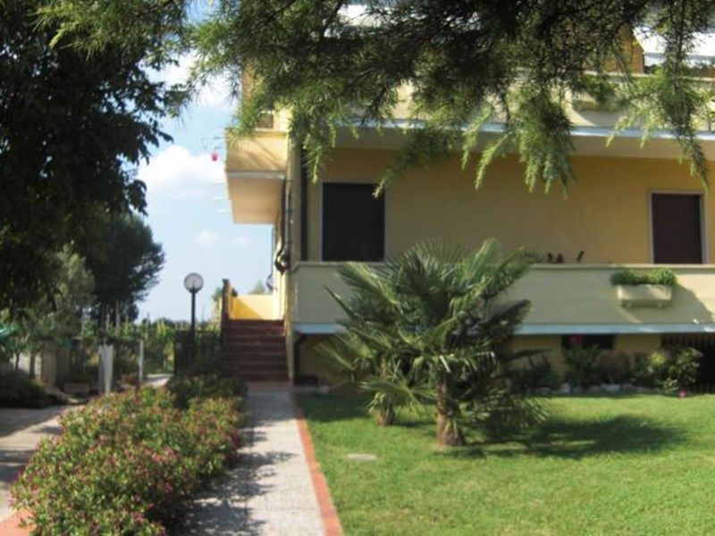 ALLA MAGNOLIA