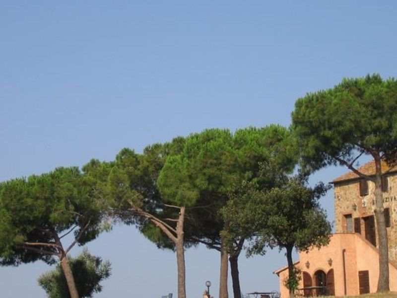 Outdoor Pictures 1