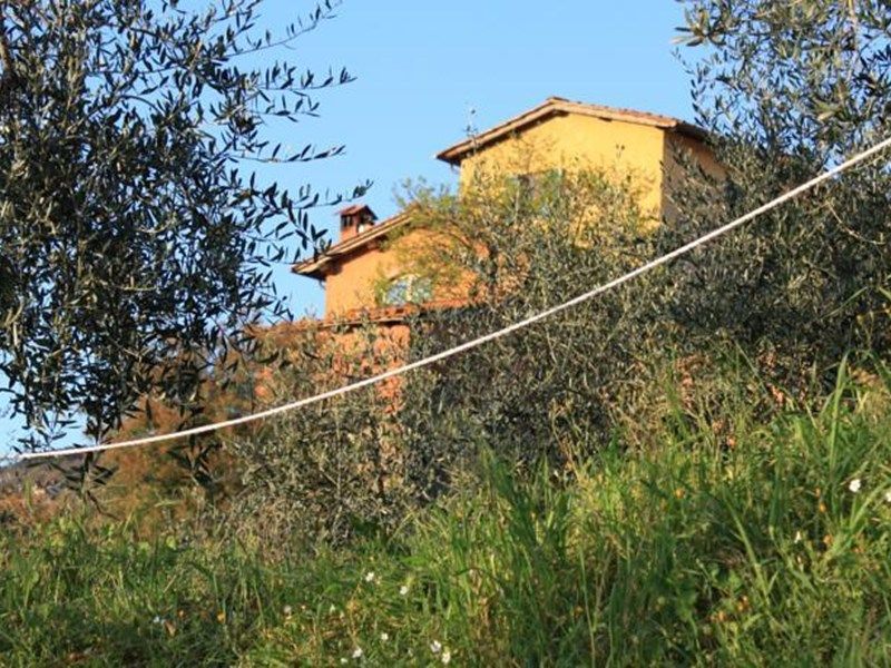 Outdoor Pictures 1