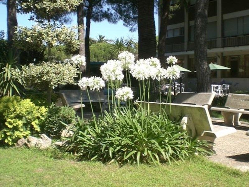 Outdoor Pictures 1