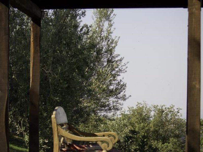 Outdoor Pictures 1