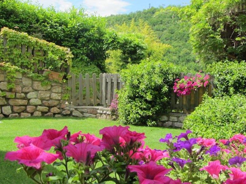 Outdoor Pictures 9