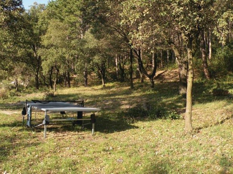 Outdoor Pictures 1