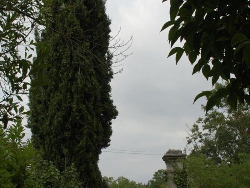 Outdoor Pictures 12