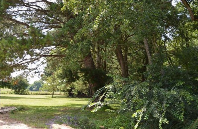 Le moulin de Moinet